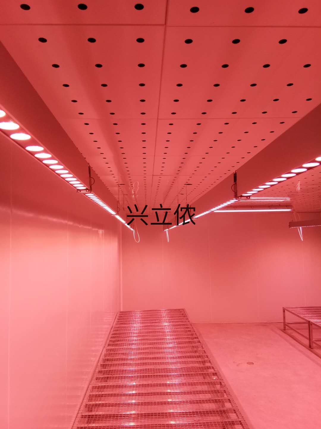 人工气候室