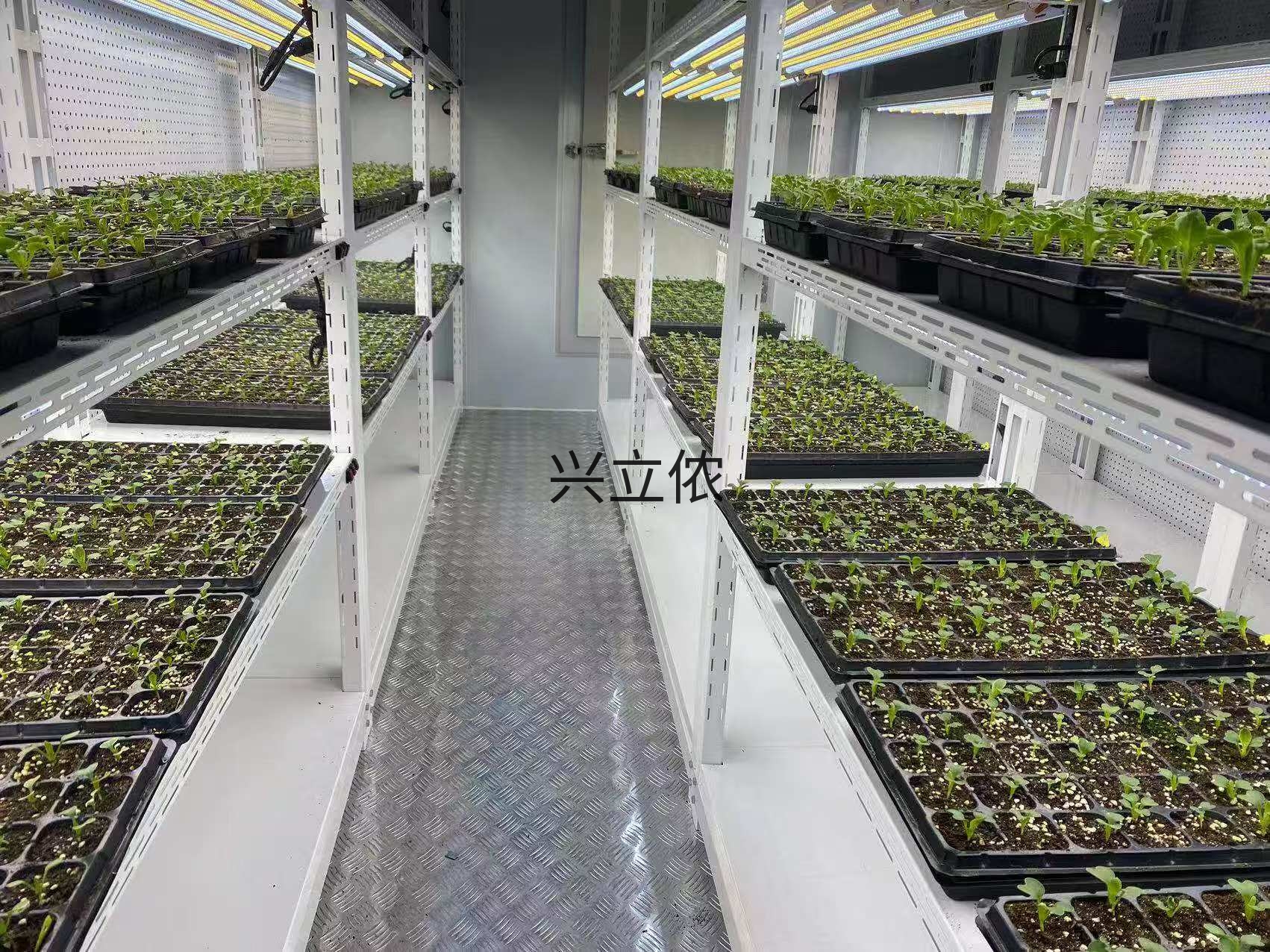 植物培养室